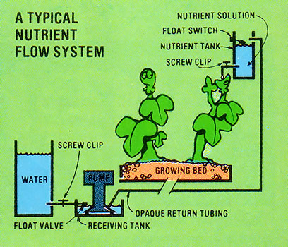 Diagram shows the parts and configuration of a basic Nutrient Film System setup.